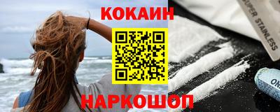стафф Гатчина
