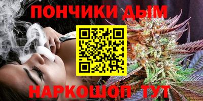 стафф Гатчина