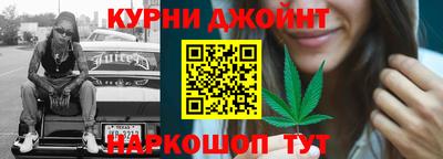 стафф Гатчина