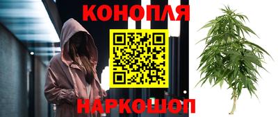 стафф Гатчина