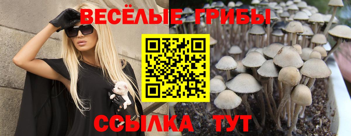 Псилоцибиновые грибы MAGIC MUSHROOMS  как найти закладки  Ростов Великий  Вход с VPN 