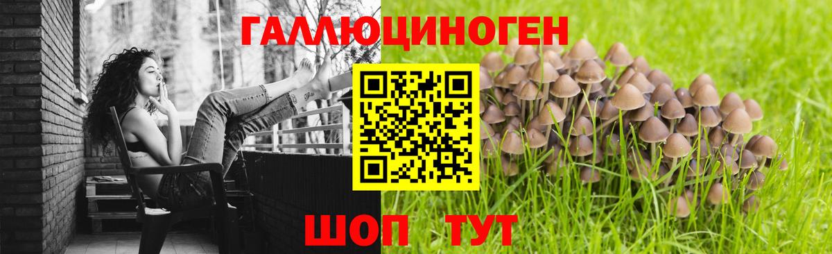 Псилоцибиновые грибы GOLDEN TEACHER Ростов Великий